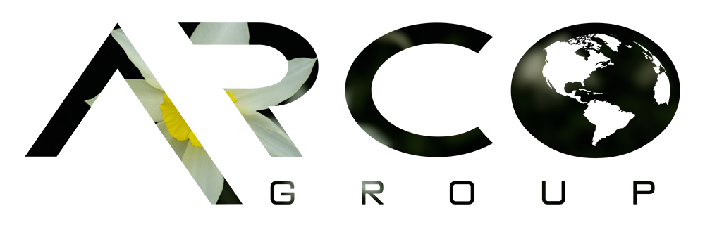 envato-labs-image-edit (1)